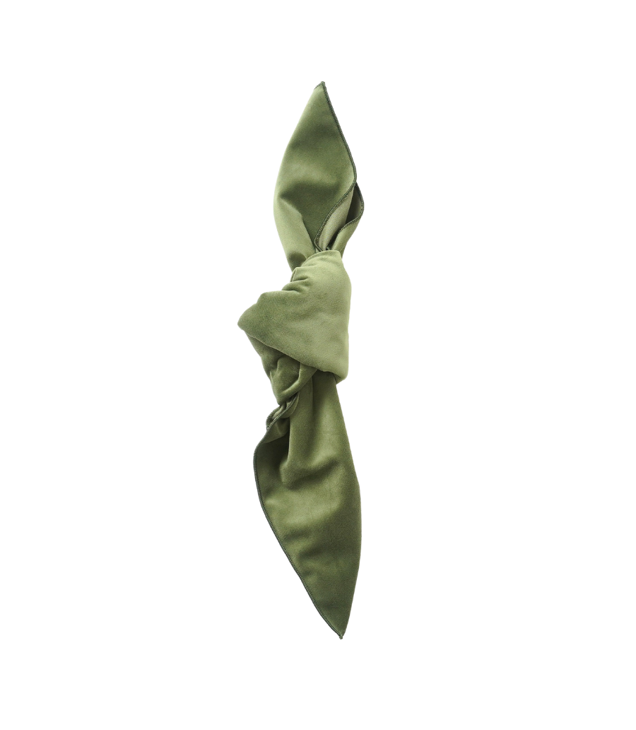 green velvet napkin