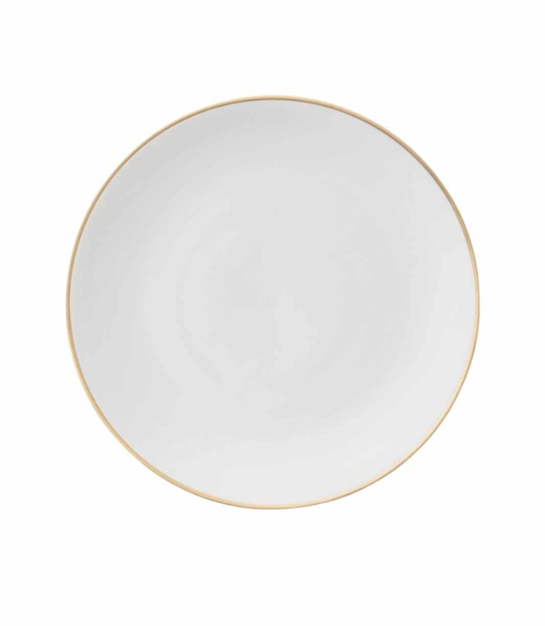 white porcelain dinner plate with thin gold trim