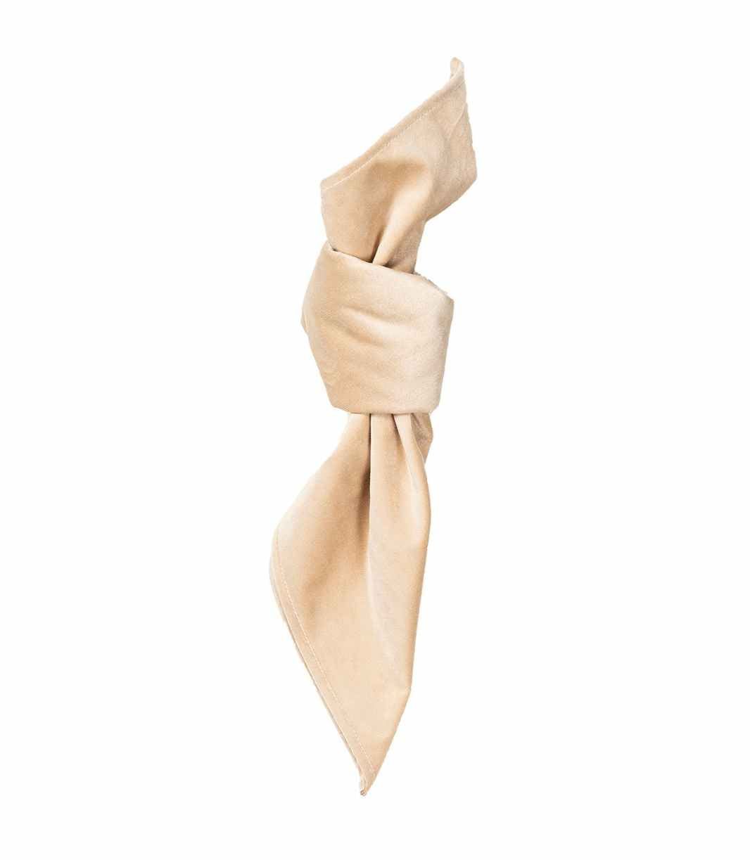 champagne velvet napkin 
