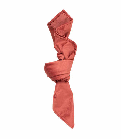 red/orange velvet napkin 